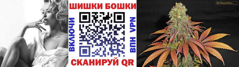 Канабис индика  где купить наркоту  Новоузенск 